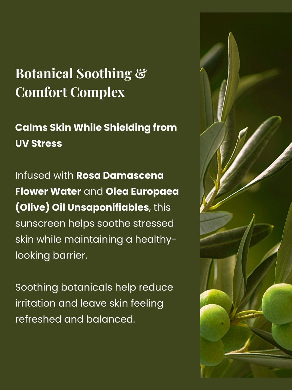 Pure Veil Fluid SPF50+